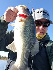 Chasing the Ghost Fish