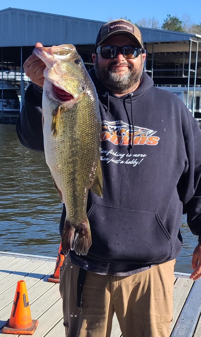 DAVID L BROWN Icon Image